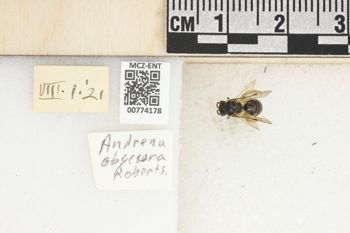 Media type: image;   Entomology 774178 Aspect: Labels